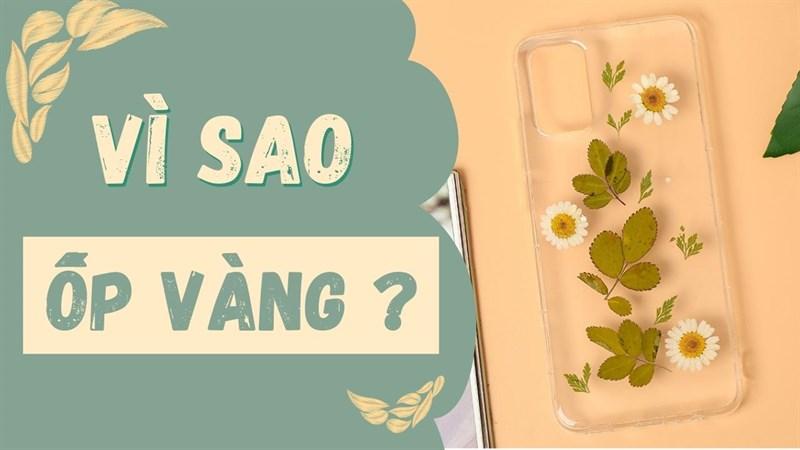 Ốp lưng dẻo bị vàng rõ rệt sau một thời gian sử dụng. Nguồn: Sokumo Facts.