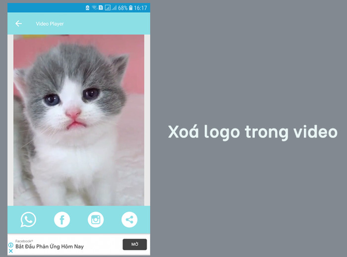 Tải Video TikTok Không Logo Về Máy Dễ Dàng Với Tiktok Download