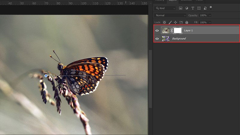 Hướng Dẫn 4 Cách Phối Hợp Ảnh Trong Photoshop Đơn Giản