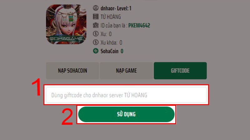 alt text: Nhập giftcode và nhấn Sử dụng