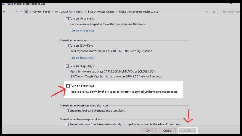 alt="Tắt Filter Keys qua Control Panel"