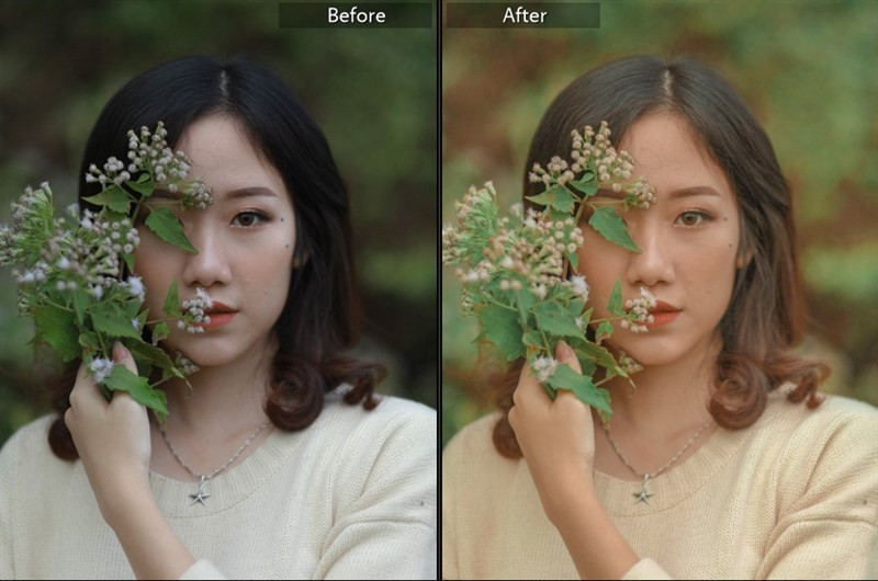 Biến Hình Bức Ảnh Với 40+ Preset Lightroom Màu Nắng Miễn Phí