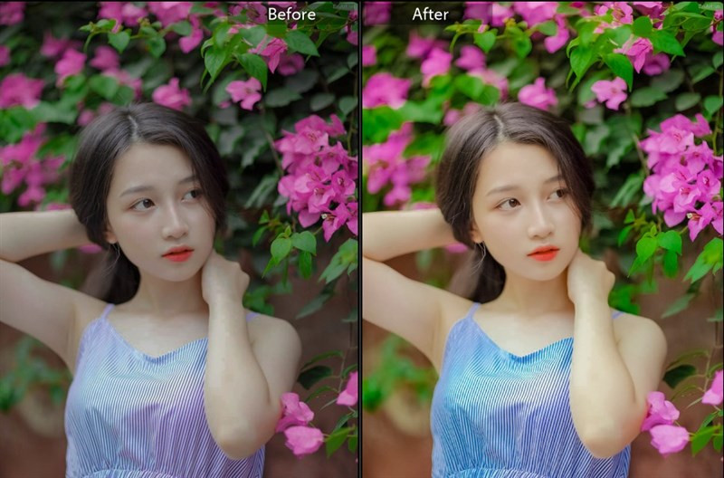 20+ Preset Lightroom Màu Trong Trẻo Cho Ảnh Lung Linh Hút Hồn