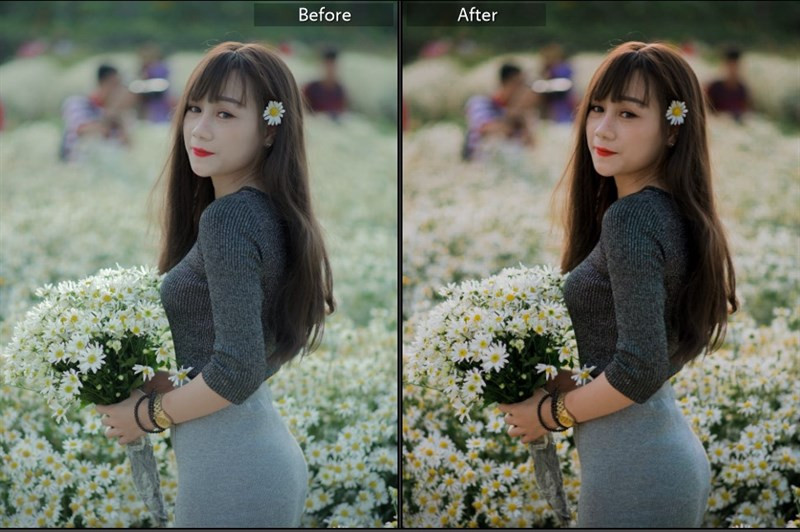 Biến Hình Bức Ảnh Với 40+ Preset Lightroom Màu Nắng Miễn Phí