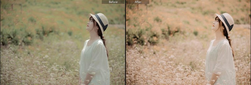 Biến Hình Bức Ảnh Với 40+ Preset Lightroom Màu Nắng Miễn Phí