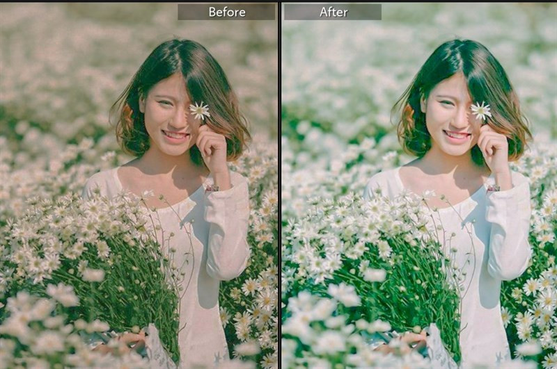 20+ Preset Lightroom Màu Trong Trẻo Cho Ảnh Lung Linh Hút Hồn