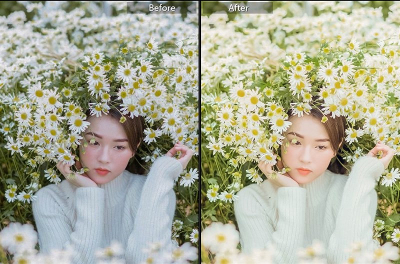 20+ Preset Lightroom Màu Trong Trẻo Cho Ảnh Lung Linh Hút Hồn