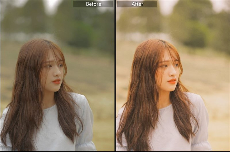 Biến Hình Bức Ảnh Với 40+ Preset Lightroom Màu Nắng Miễn Phí