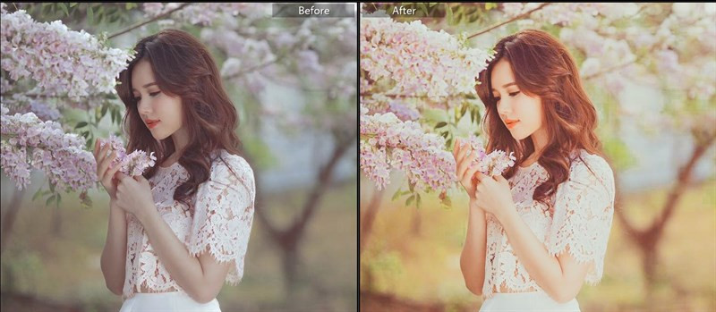 Biến Hình Bức Ảnh Với 40+ Preset Lightroom Màu Nắng Miễn Phí