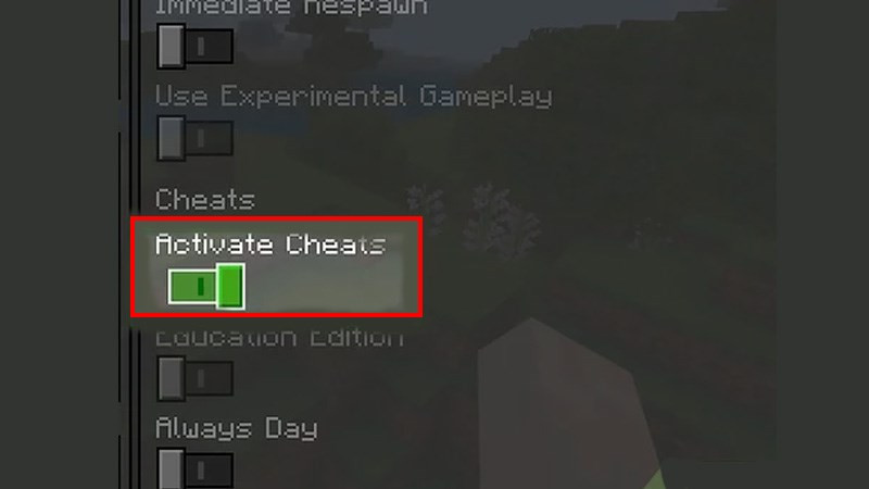 Bật cheat Minecraft điện thoại bước 3