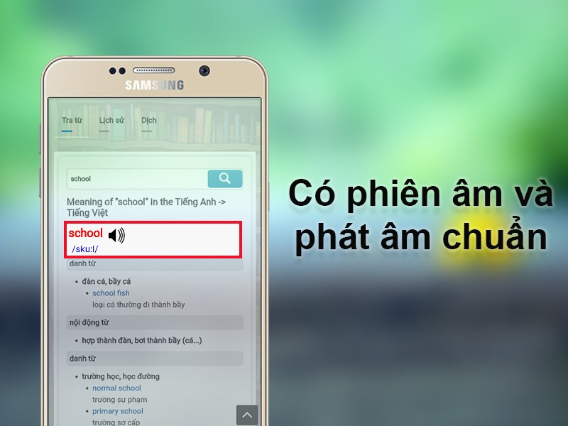 C&oacute; phi&ecirc;n &acirc;m v&agrave; ph&aacute;t &acirc;m chuẩn