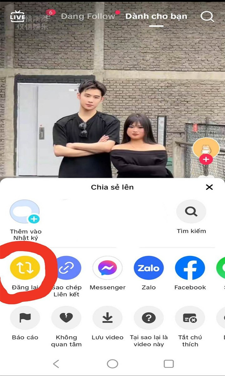 Chọn đăng lại TikTok