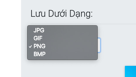 Chọn định dạng ảnh bạn muốn lưu sau khi chỉnh k&iacute;ch thước, bao gồm: PNG, GIF, JPG, BMP