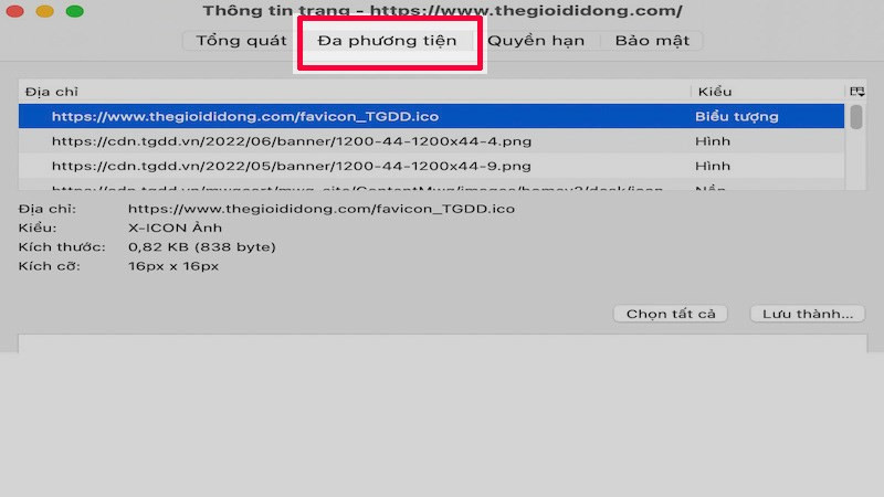 Chọn tab Đa phương tiện
