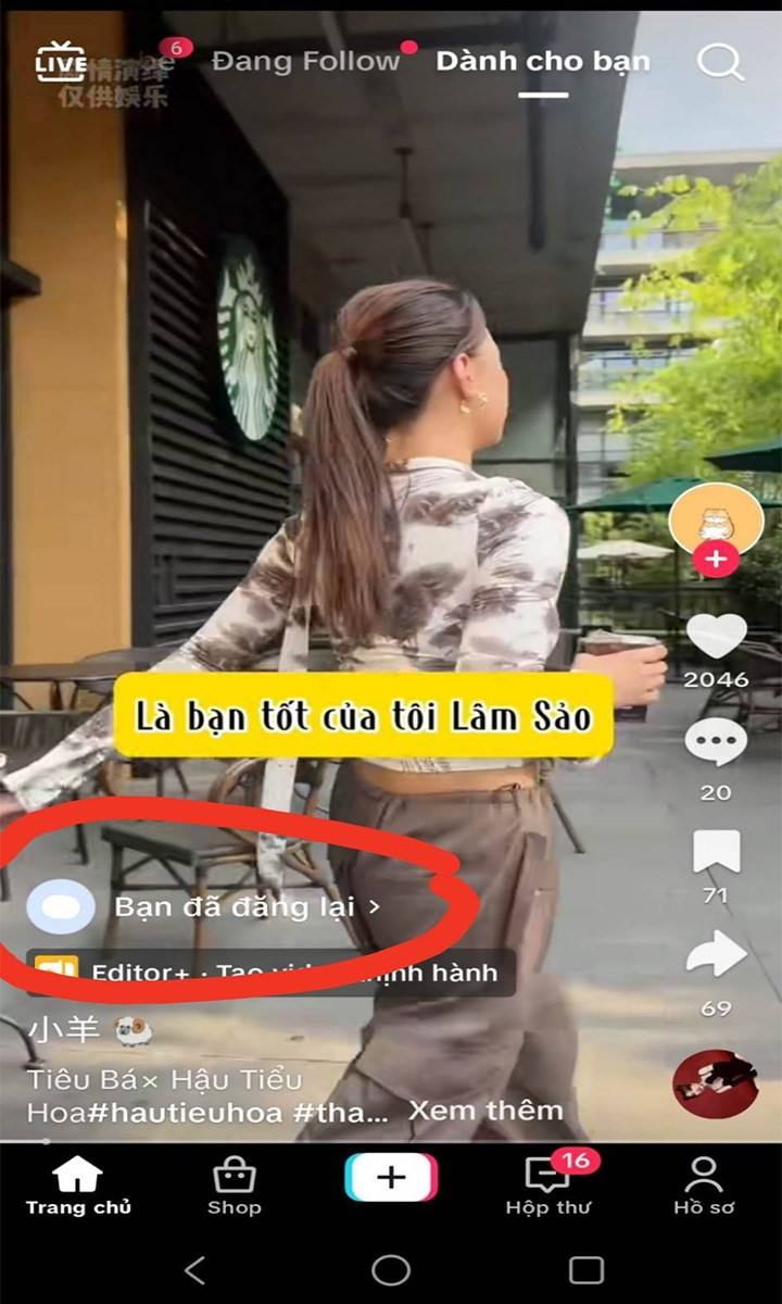 Đăng lại thành công TikTok