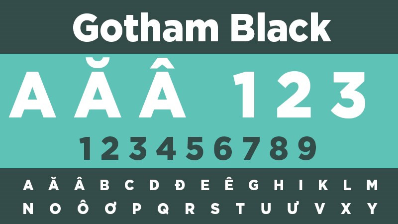 Font Gotham Black Việt h&oacute;a