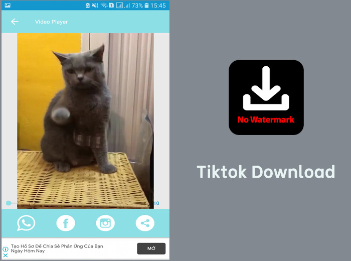 Giao diện ứng dụng Tiktok Download