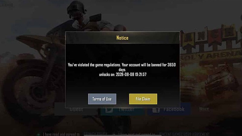 Hình phạt PUBG