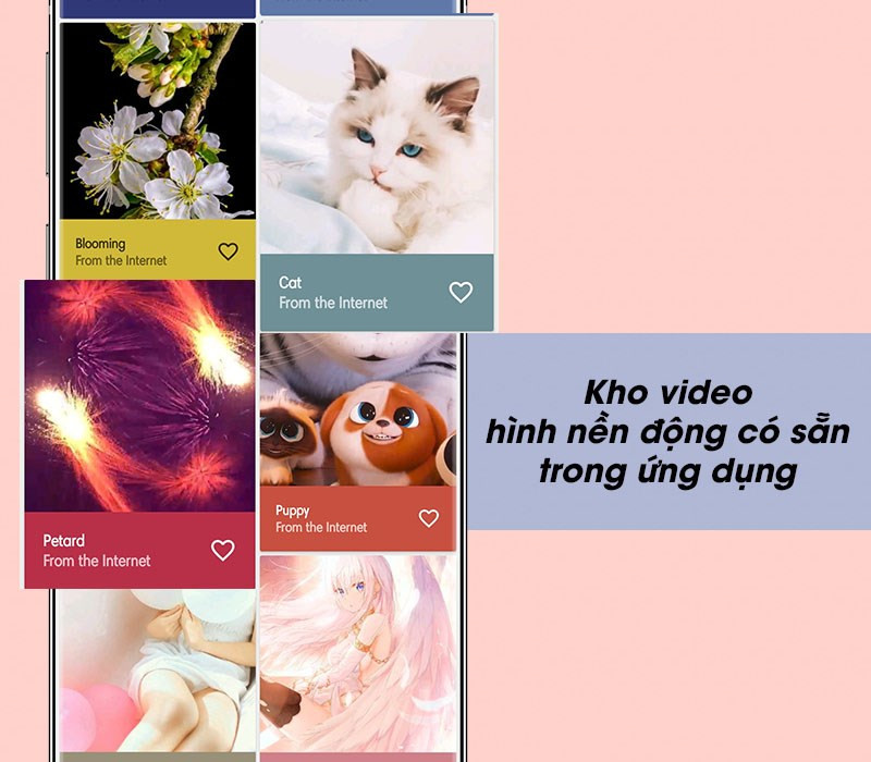 Kho video hình nền 4D đa dạng