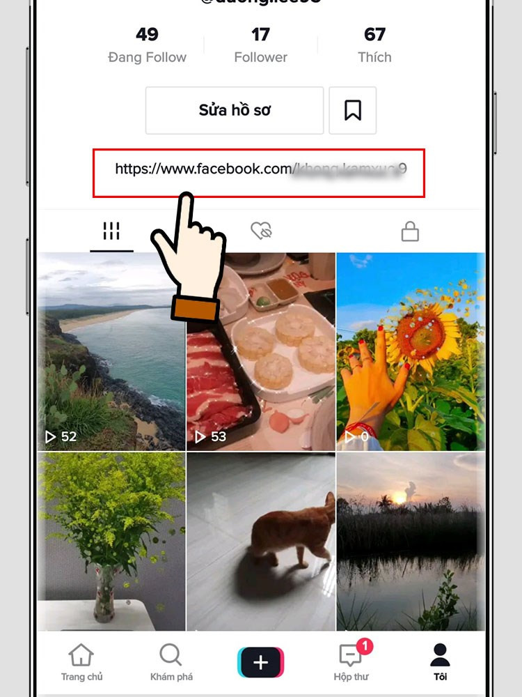 Link Facebook trên TikTok