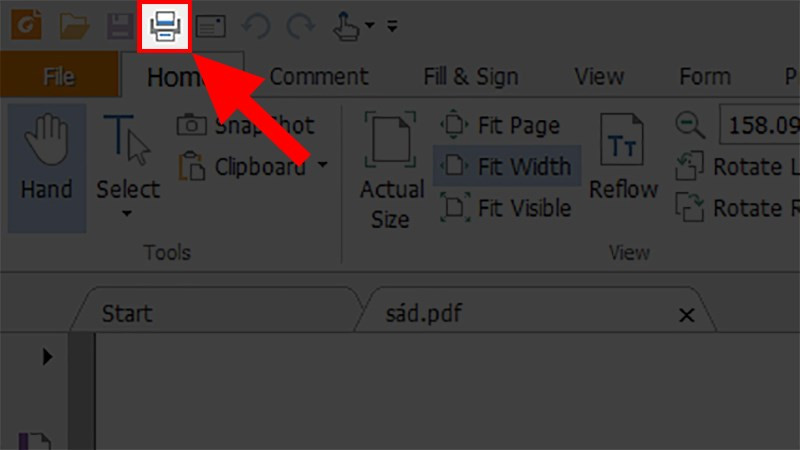 Mở file PDF và chọn Print