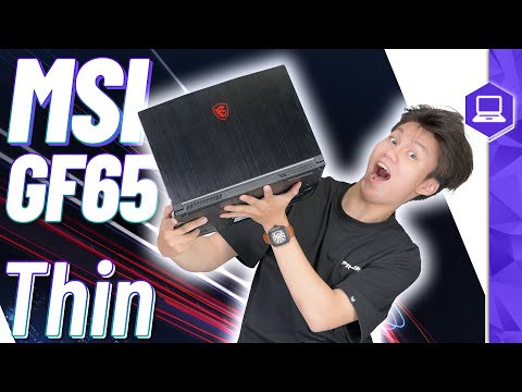 MSI Gaming GF65 Thin 10UE