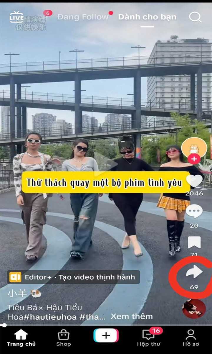 Nhấn nút chia sẻ TikTok