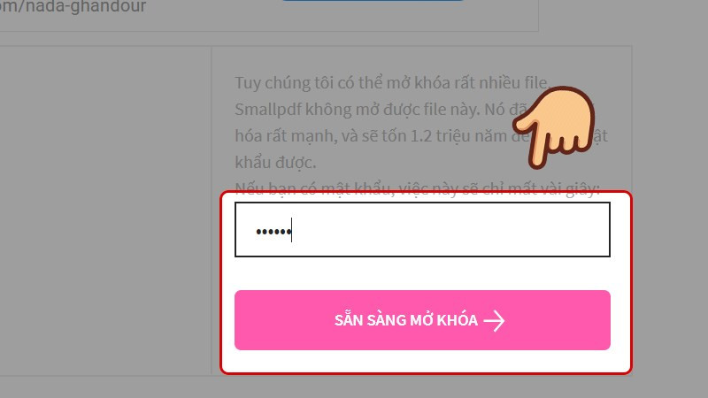 Nhập mật khẩu Smallpdf