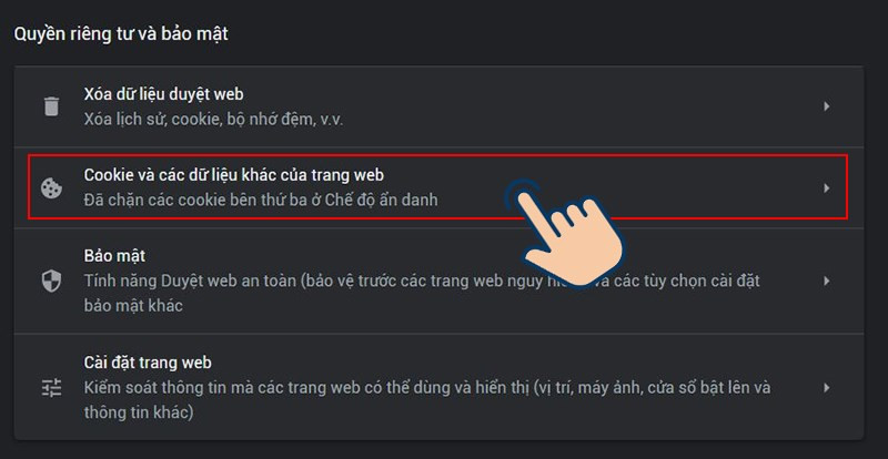 Nhấp vào Cookie và các dữ liệu khác của trang web.