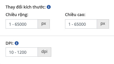 Tại mục Thay đổi k&iacute;ch thước, bạn c&oacute; thể thay đổi chiều rộng, chiều cao của ảnh theo pixel hoặc thay đổi gi&aacute; trị DPI (số chấm tr&ecirc;n mỗi inch) của h&igrave;nh ảnh