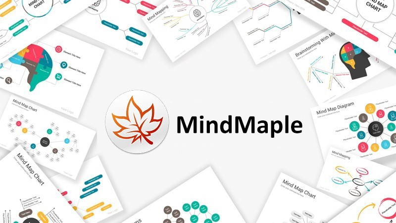 Tải MindMaple Lite: Phần mềm vẽ sơ đồ tư duy hiệu quả trên Windows, macOS, iOS