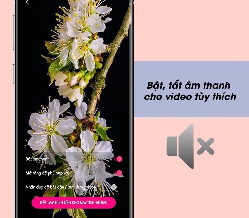 Tùy chỉnh âm thanh video