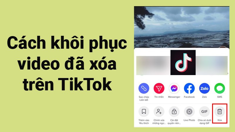 3 cách khôi phục video TikTok đã xóa