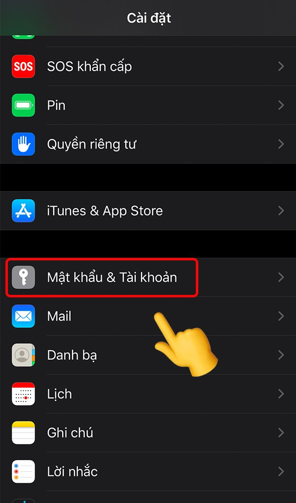 alt text: Hình ảnh màn hình iPhone hiển thị mục Mật khẩu & Tài khoản