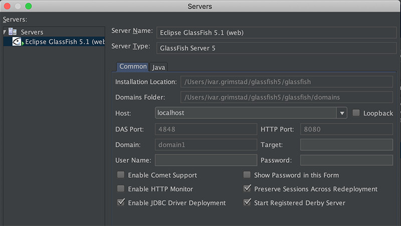 alt text: NetBeans IDE hỗ trợ framework và cơ sở dữ liệu