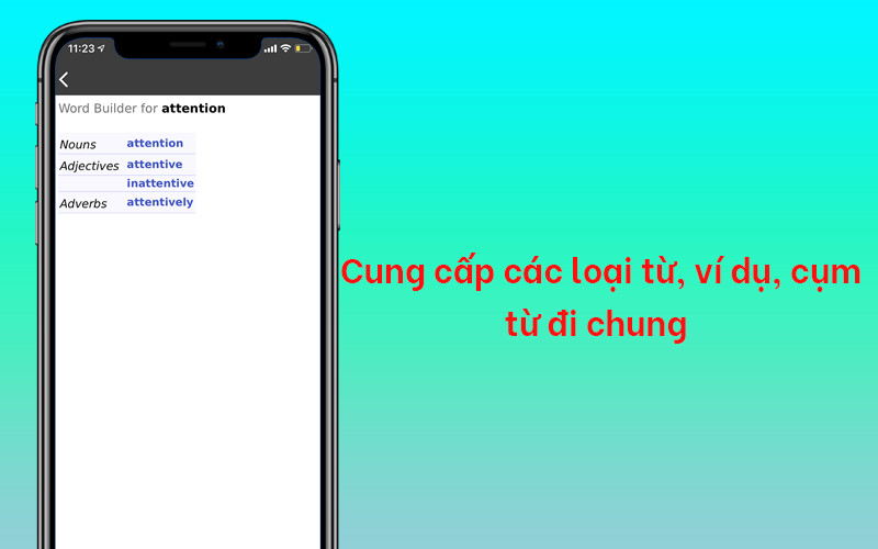 Cung cấp c&aacute;c loại từ, v&iacute; dụ, cụm từ đi chung với từ được tra cứu