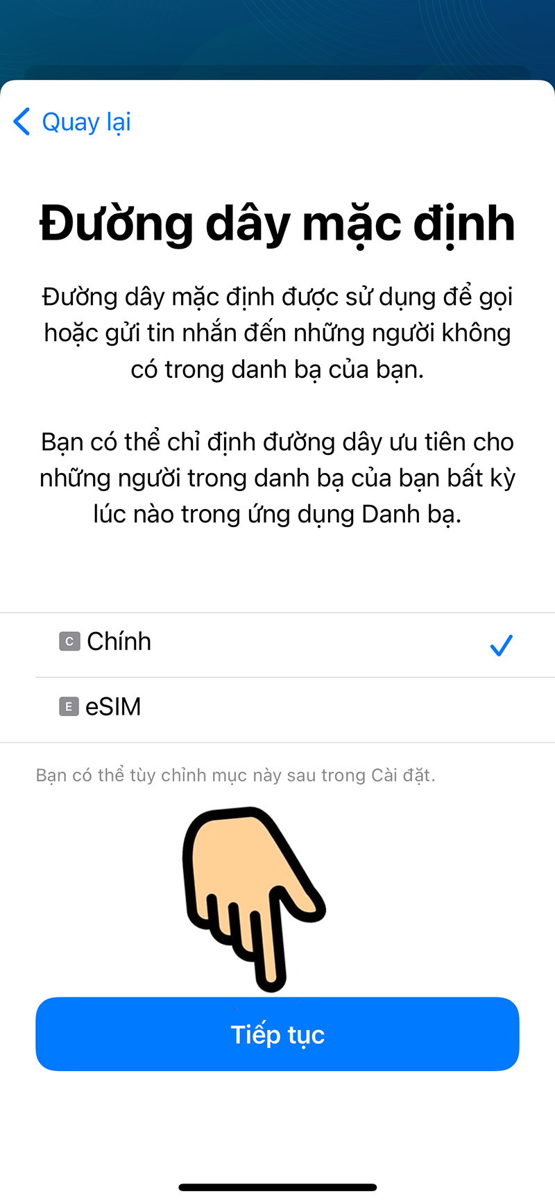 đường d&acirc;y mặc định l&agrave; eSIM hoặc Ch&iacute;nh