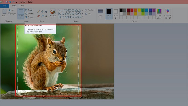 Hướng Dẫn Cắt Ảnh Đơn Giản Với Paint Trên Windows