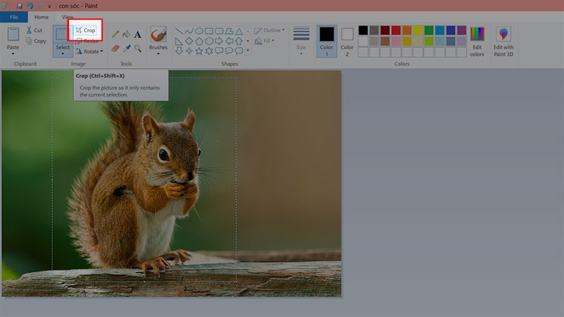 Hướng Dẫn Cắt Ảnh Đơn Giản Với Paint Trên Windows