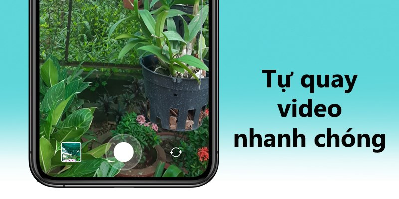 Khám Phá Boomerang: Ứng Dụng Tạo Video Ngắn Độc Đáo Từ Instagram