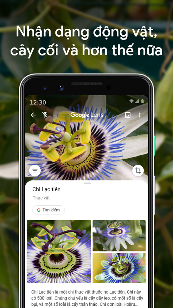 Google Lens quét văn bản