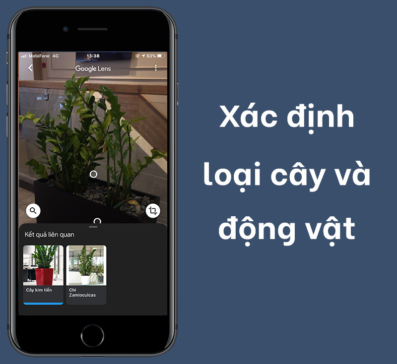 Nhận diện cây cối và động vật với Google Lens