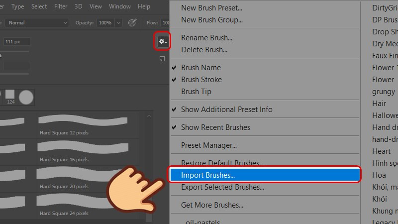 Nhấn vào biểu tượng bánh răng và chọn Import Brushes