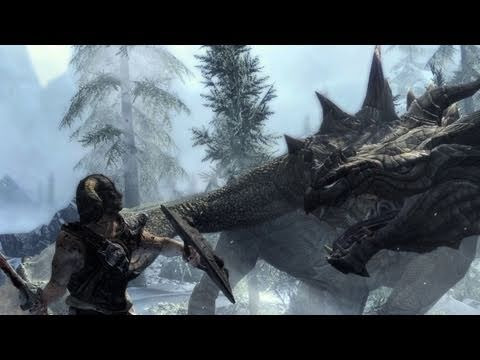 The Elder Scrolls V: Skyrim