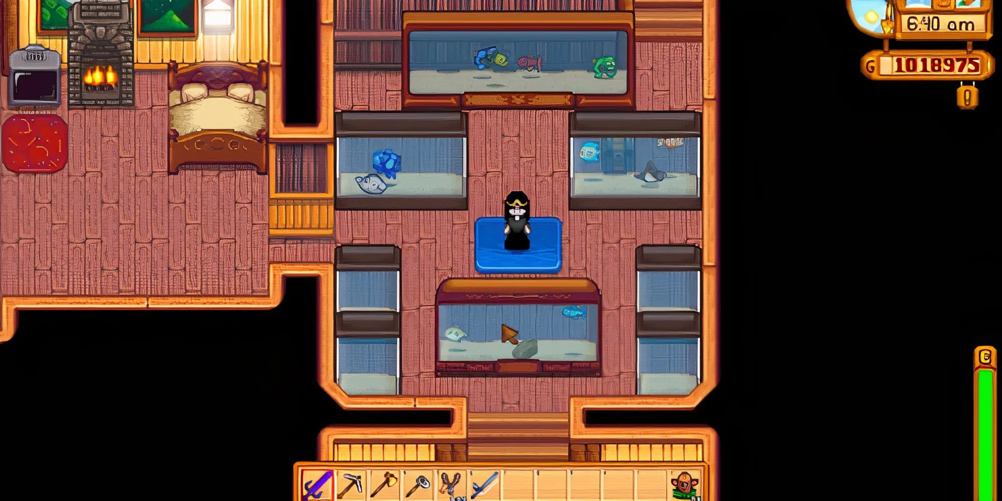 Bể cá cảnh trang trí trong nhà người chơi Stardew Valley