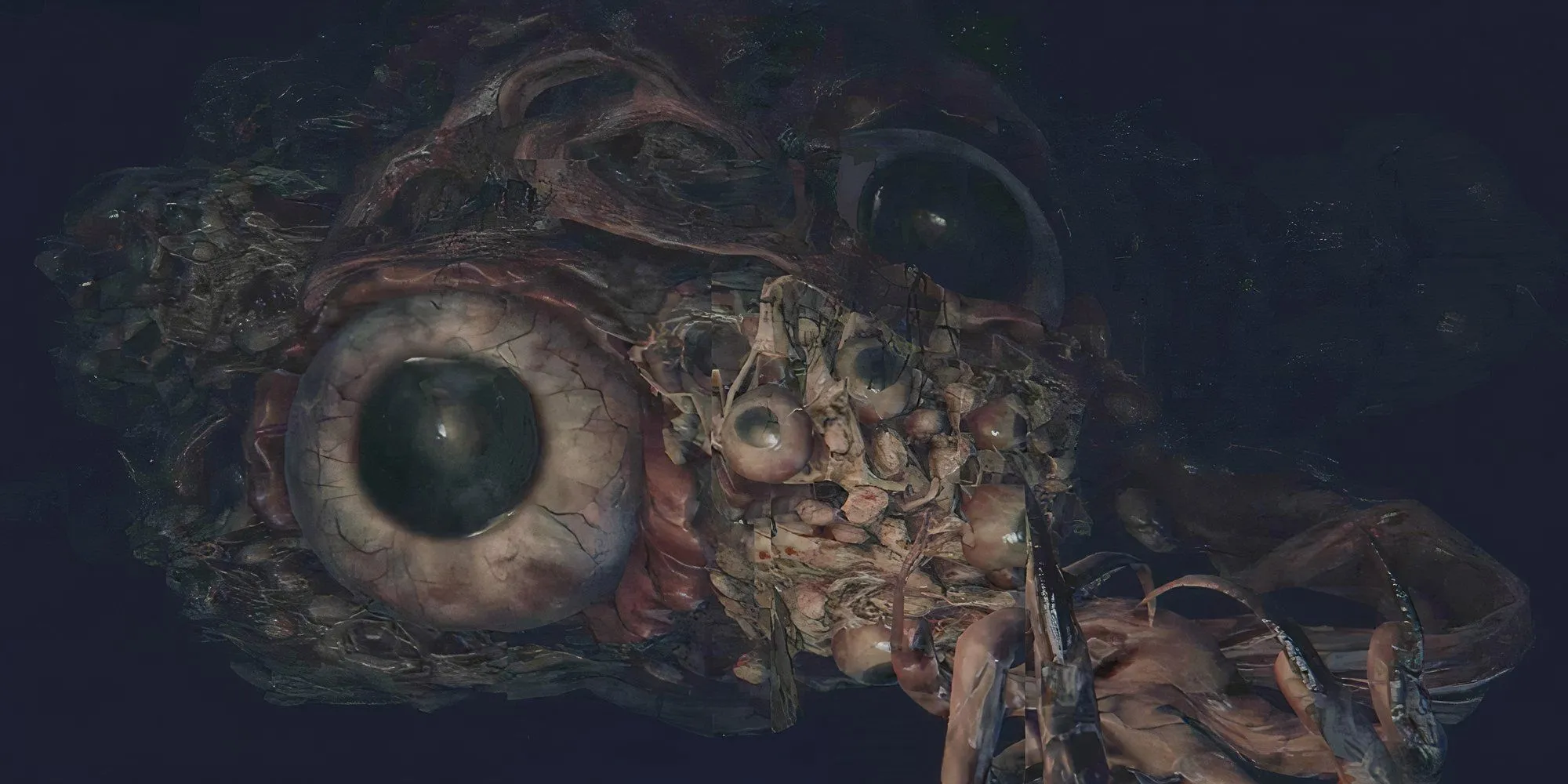 Hiệu ứng Cuồng Loạn (Frenzy) đang tích tụ và gây sát thương cực lớn trong Bloodborne