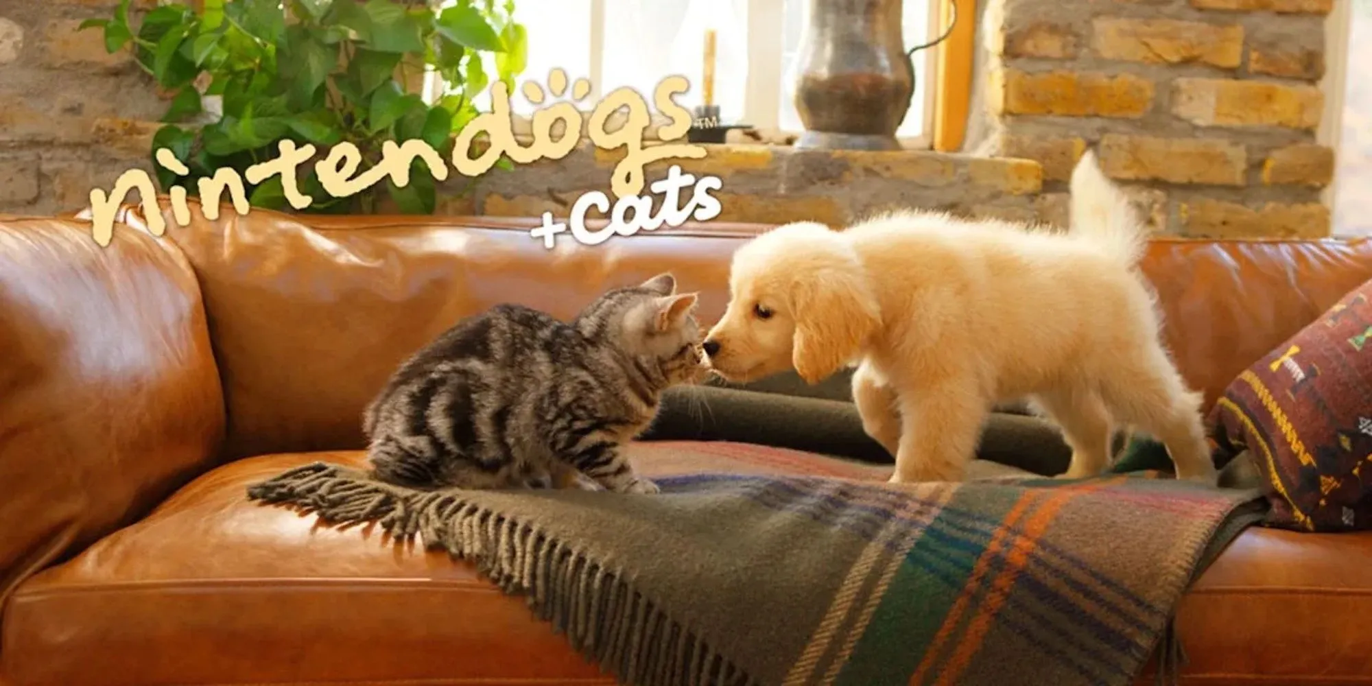 Hình ảnh chú chó và mèo đáng yêu từ Nintendogs + Cats