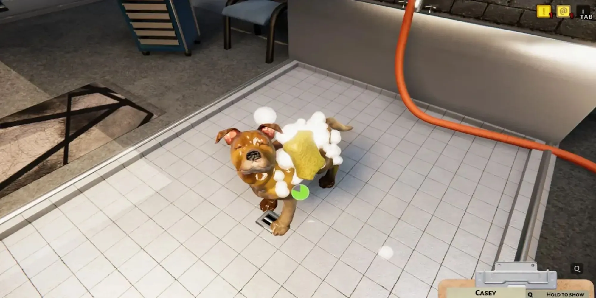 Hình ảnh minh họa một chú chó và mèo trong Animal Shelter Simulator
