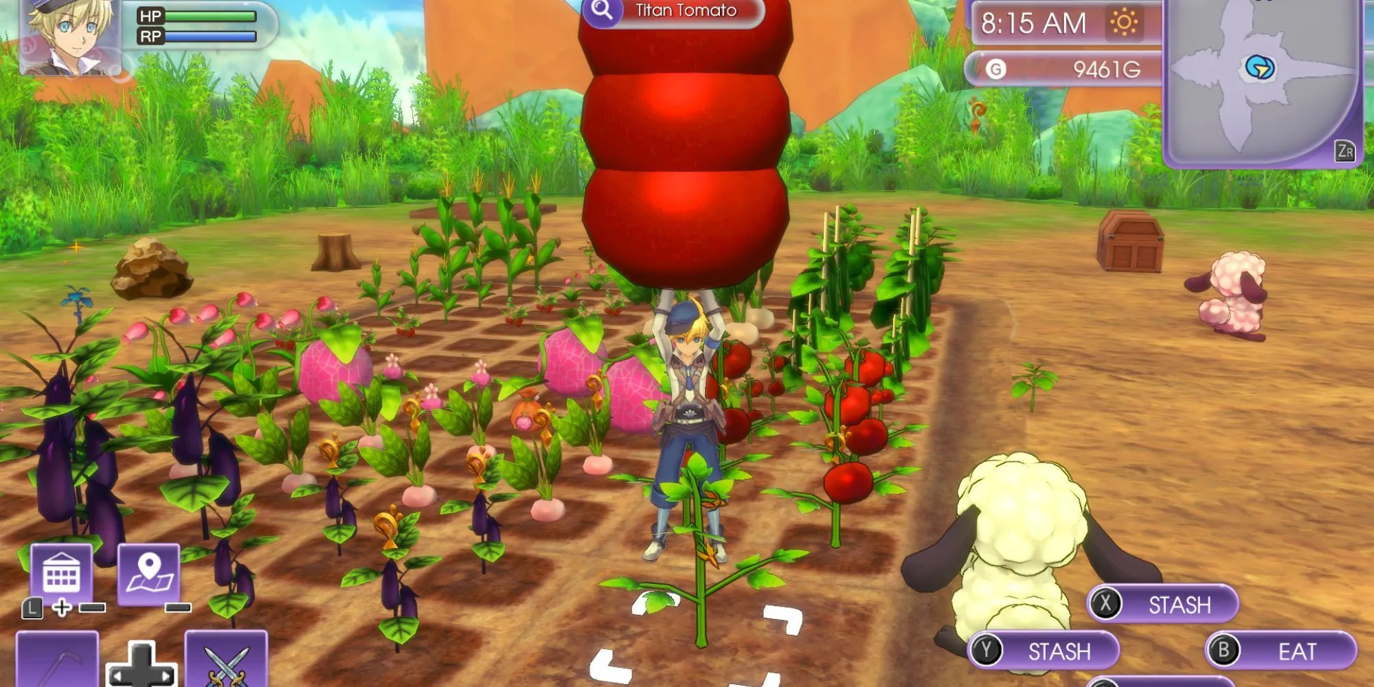 Hoạt động trồng trọt và chăm sóc nông trại trong game Rune Factory 5