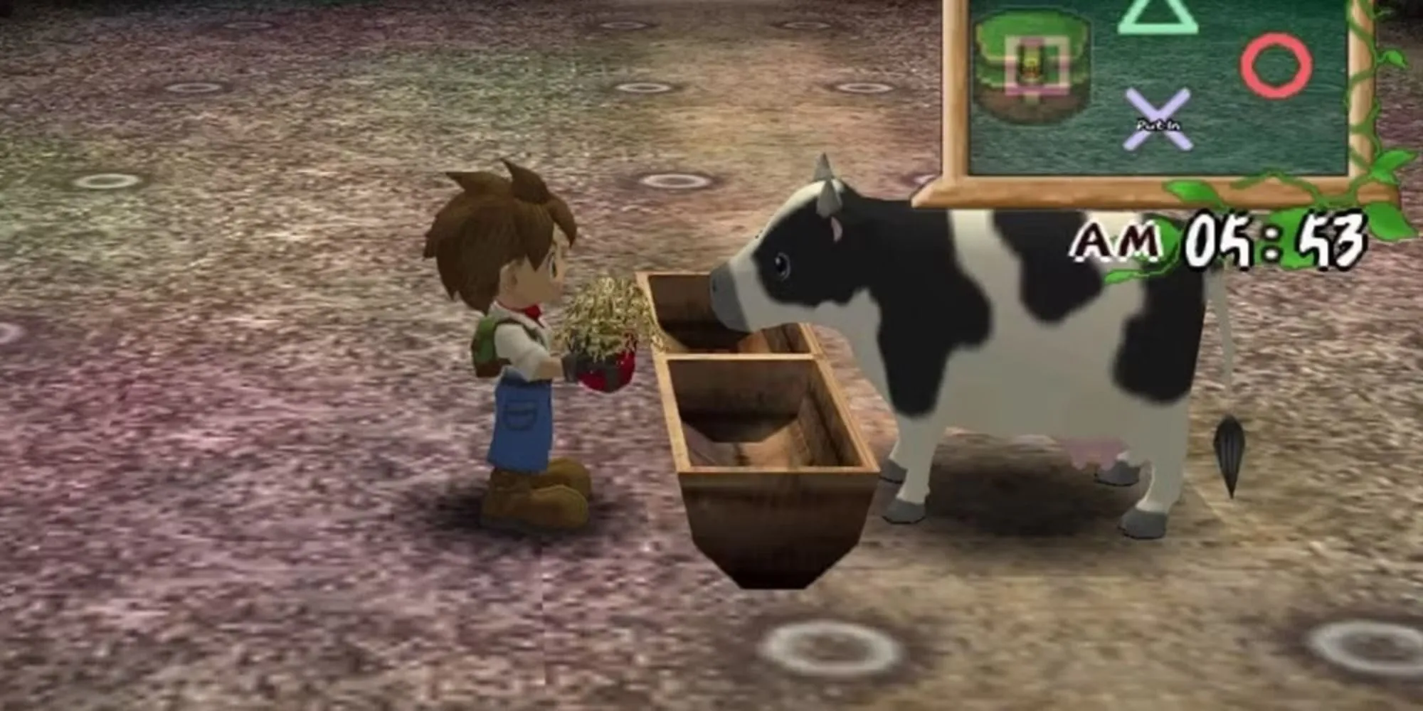 Người chơi cho bò ăn cỏ khô trong Harvest Moon: A Wonderful Life